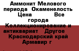 Аммонит Мелового периода. Окаменелость. › Цена ­ 2 800 - Все города Коллекционирование и антиквариат » Другое   . Краснодарский край,Армавир г.